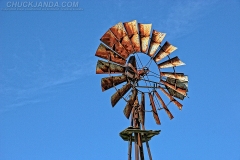 Forgottonia Windmill